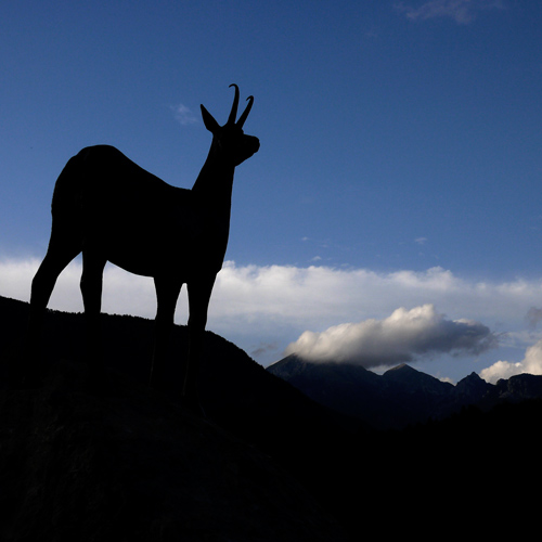 Statue of Zlatorog goat, Lake Bohij, Slovenia.